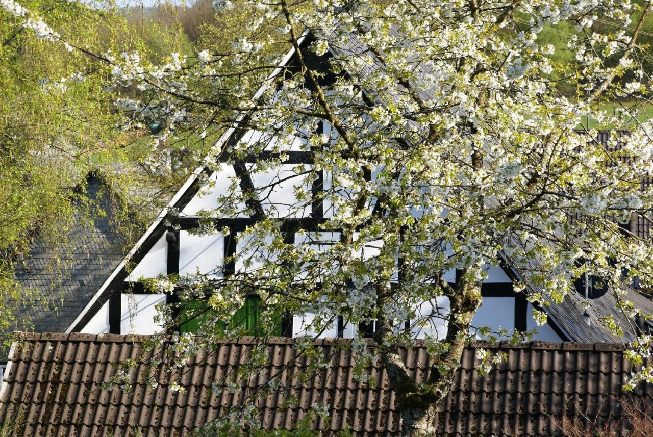 Gasthof Schumacher Hotel Garni Freudenberg  Luaran gambar